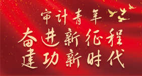 審計青年：奮進新征程   建功新時代